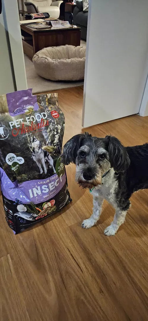Insect Protein Dog Food-2