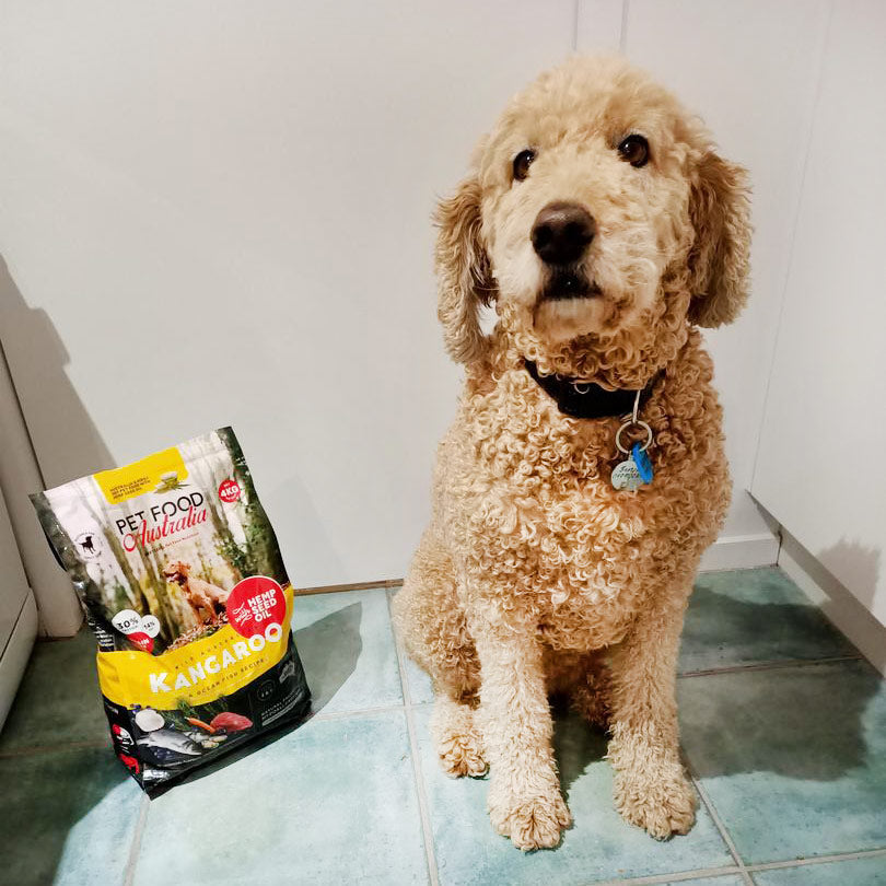 Kangaroo & Ocean Fish Dry Food-3