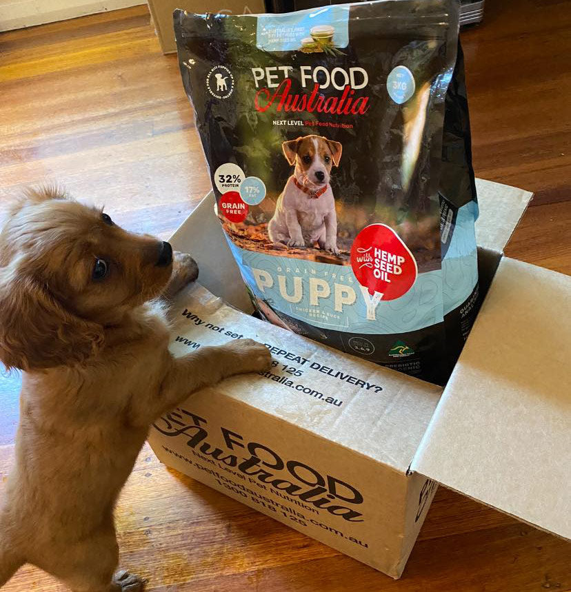Puppy Chicken & Duck Formula-1