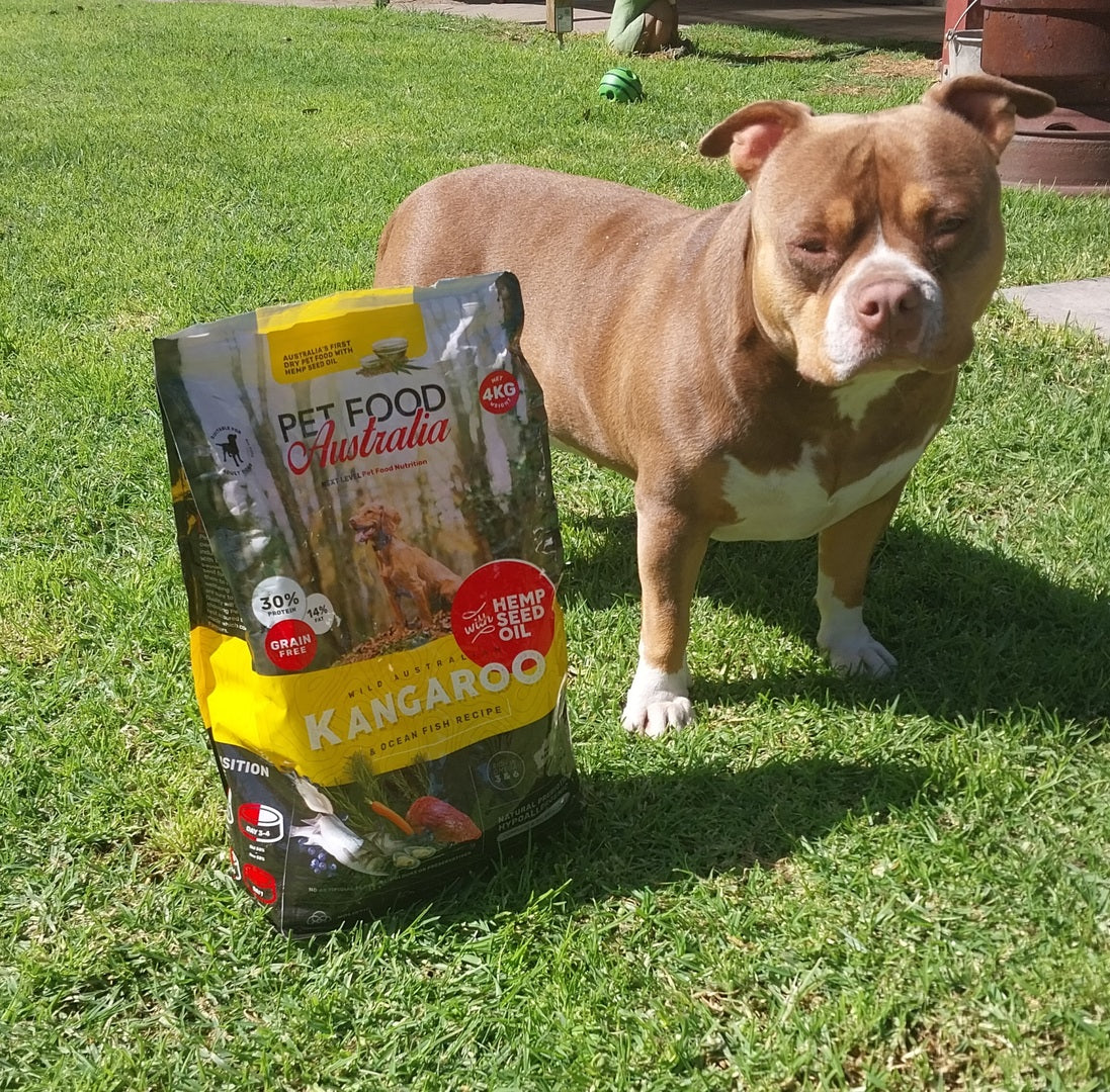 Kangaroo & Ocean Fish Dry Food-2